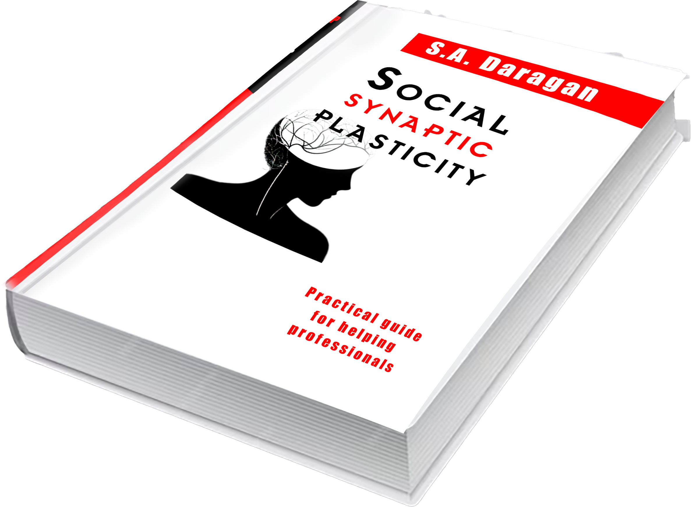 The book “Social Synaptic Plasticity”